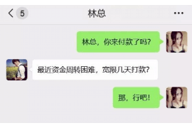 留坝为什么选择专业追讨公司来处理您的债务纠纷？